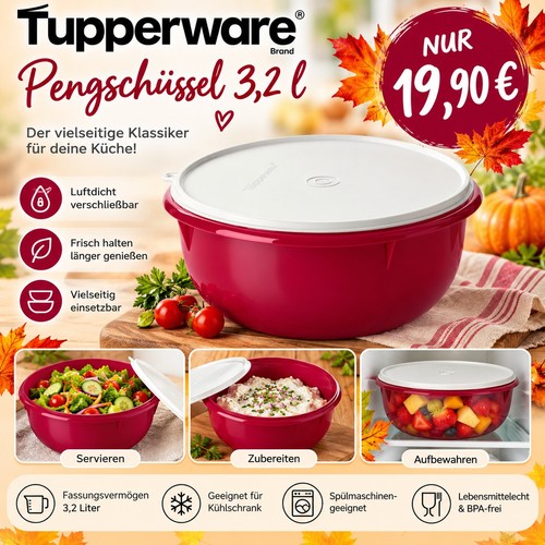 Tupperware peng schüssel 2 - peng, 3,2