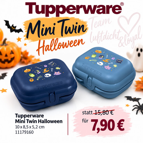 Tupperware mini twin - mini, box